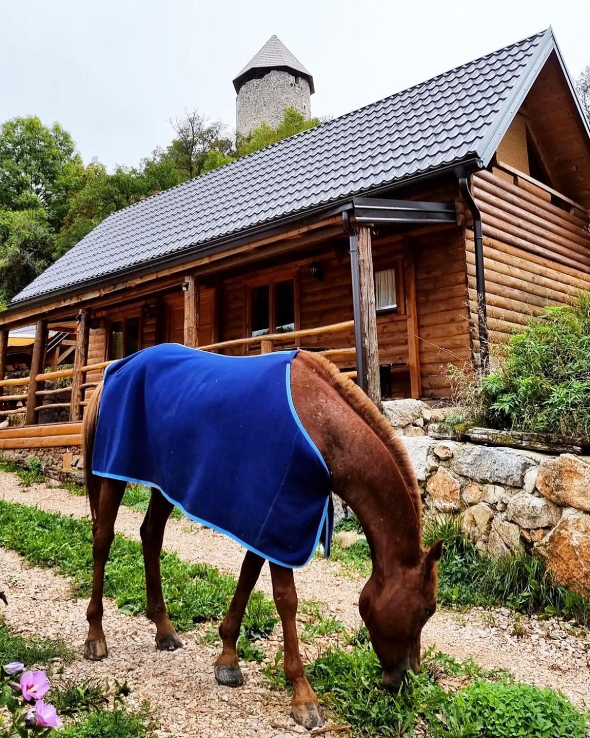 Chalet Koliba 30svibnja *
